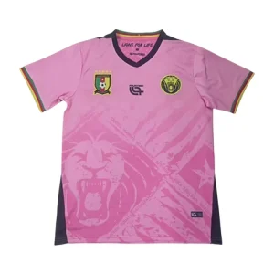 Cameroon 2025 Special Edition Jersey